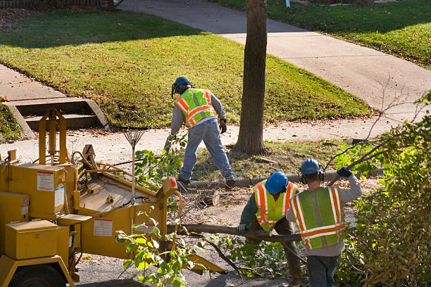 Soil Testing and Treatment in Sunset, LA